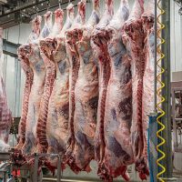 Slaughterhouse